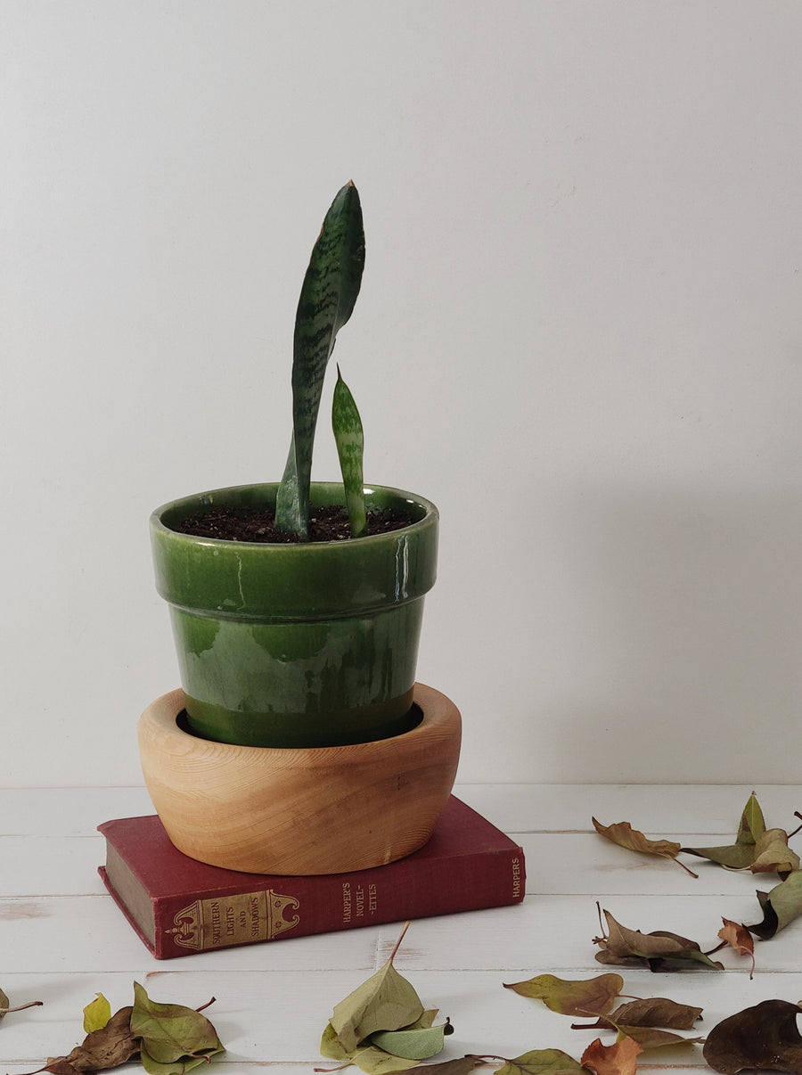 Wood Bowl