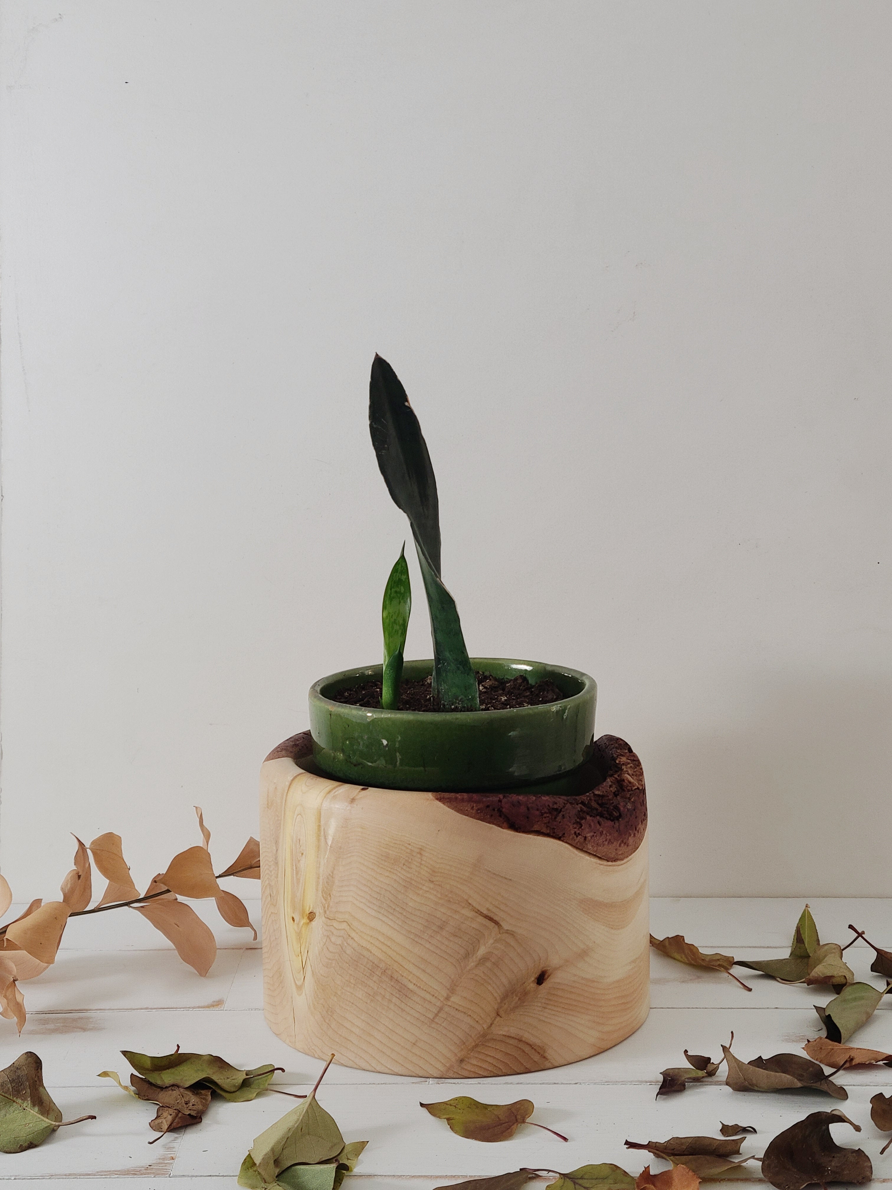 Wood Bowl Set of 2