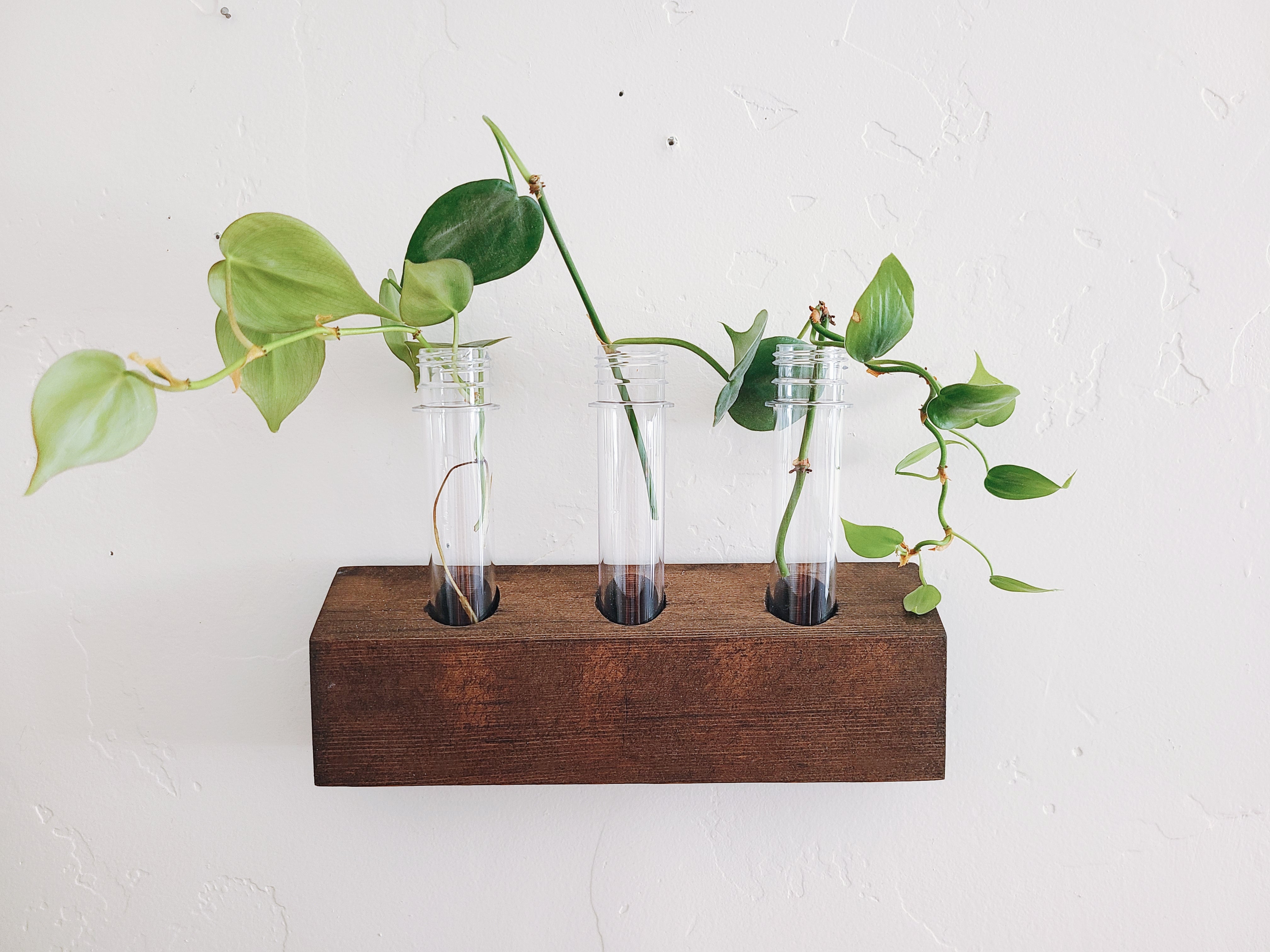Propagation Station