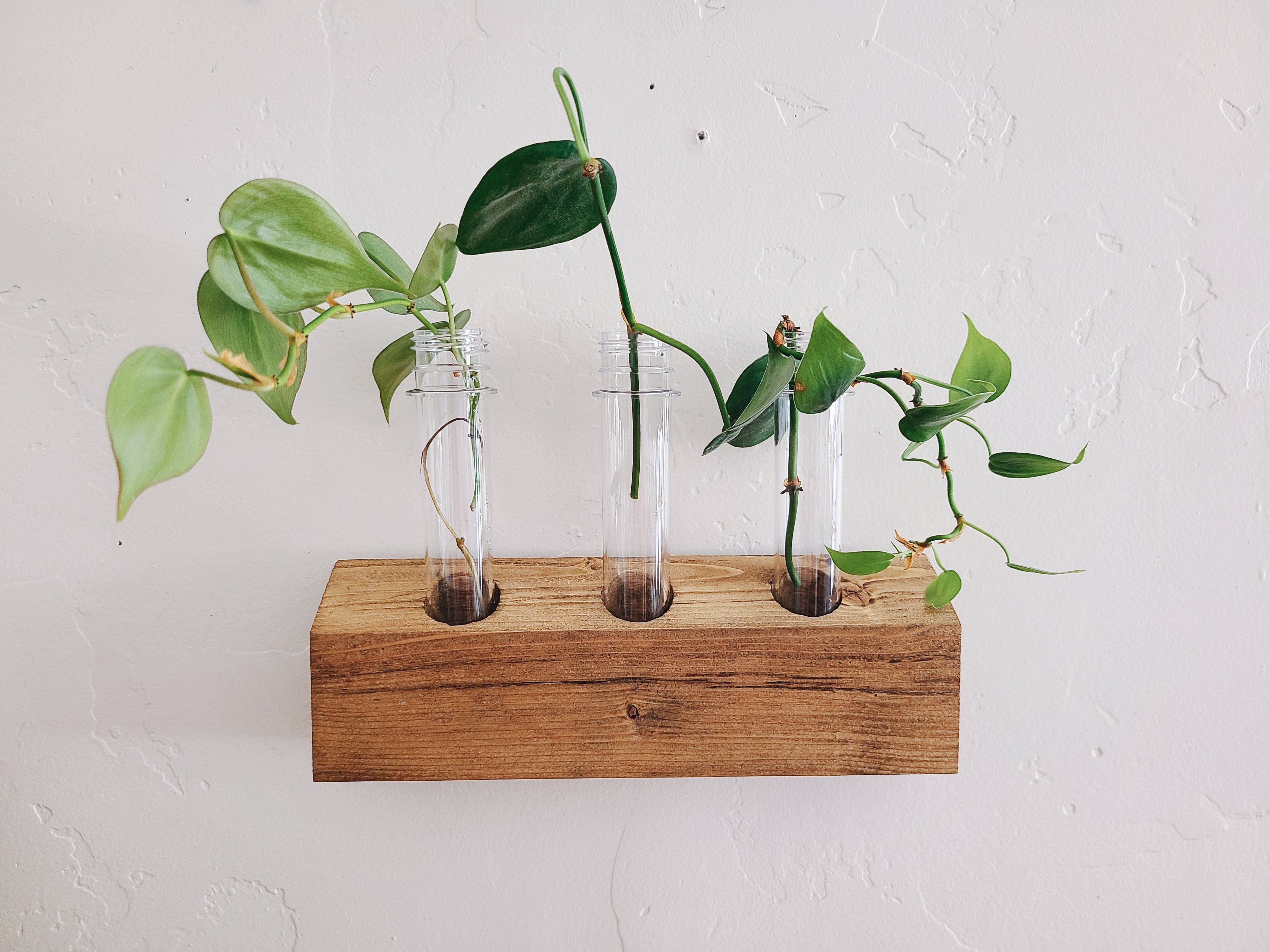 Propagation Station