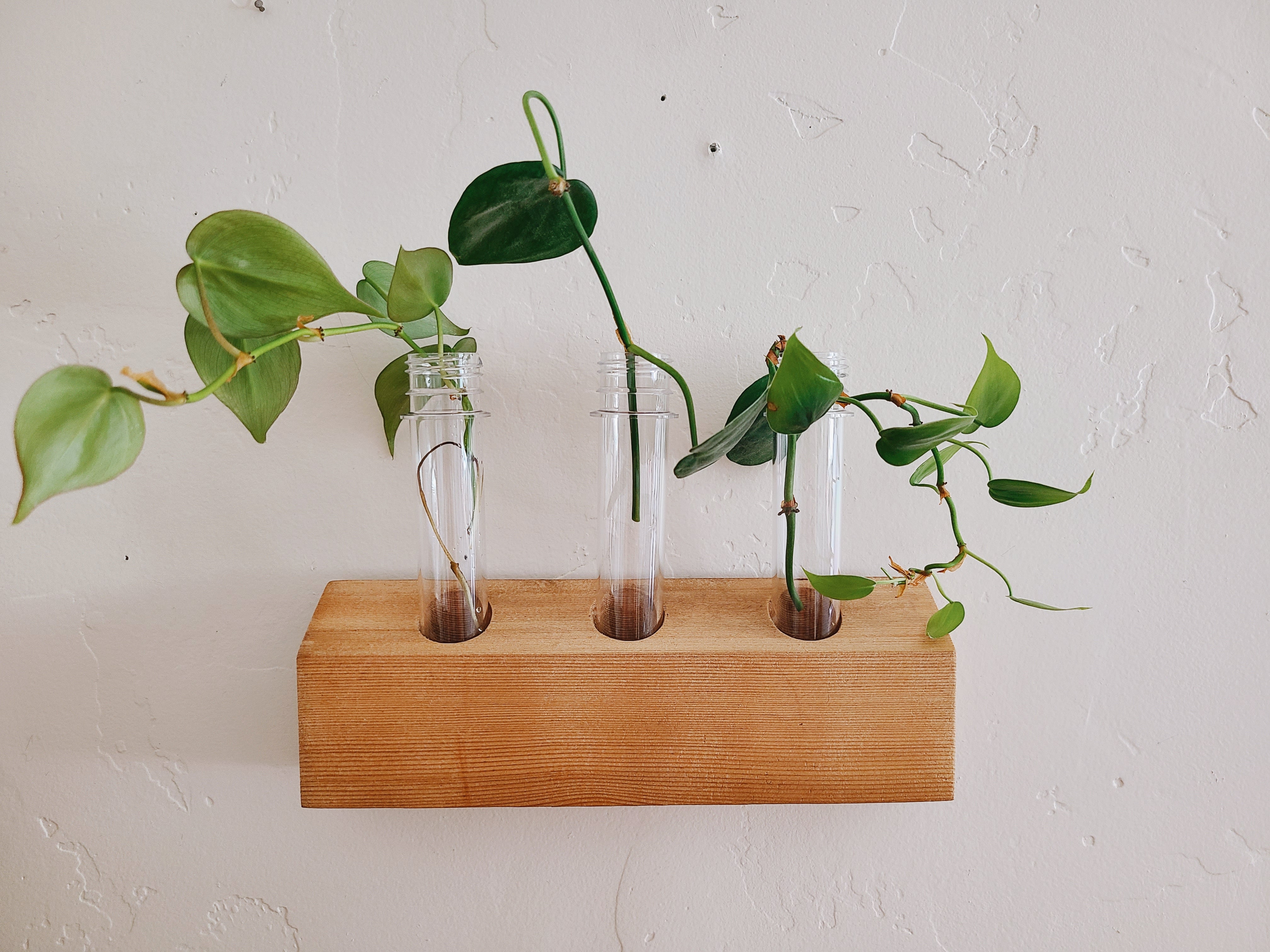 Propagation Station