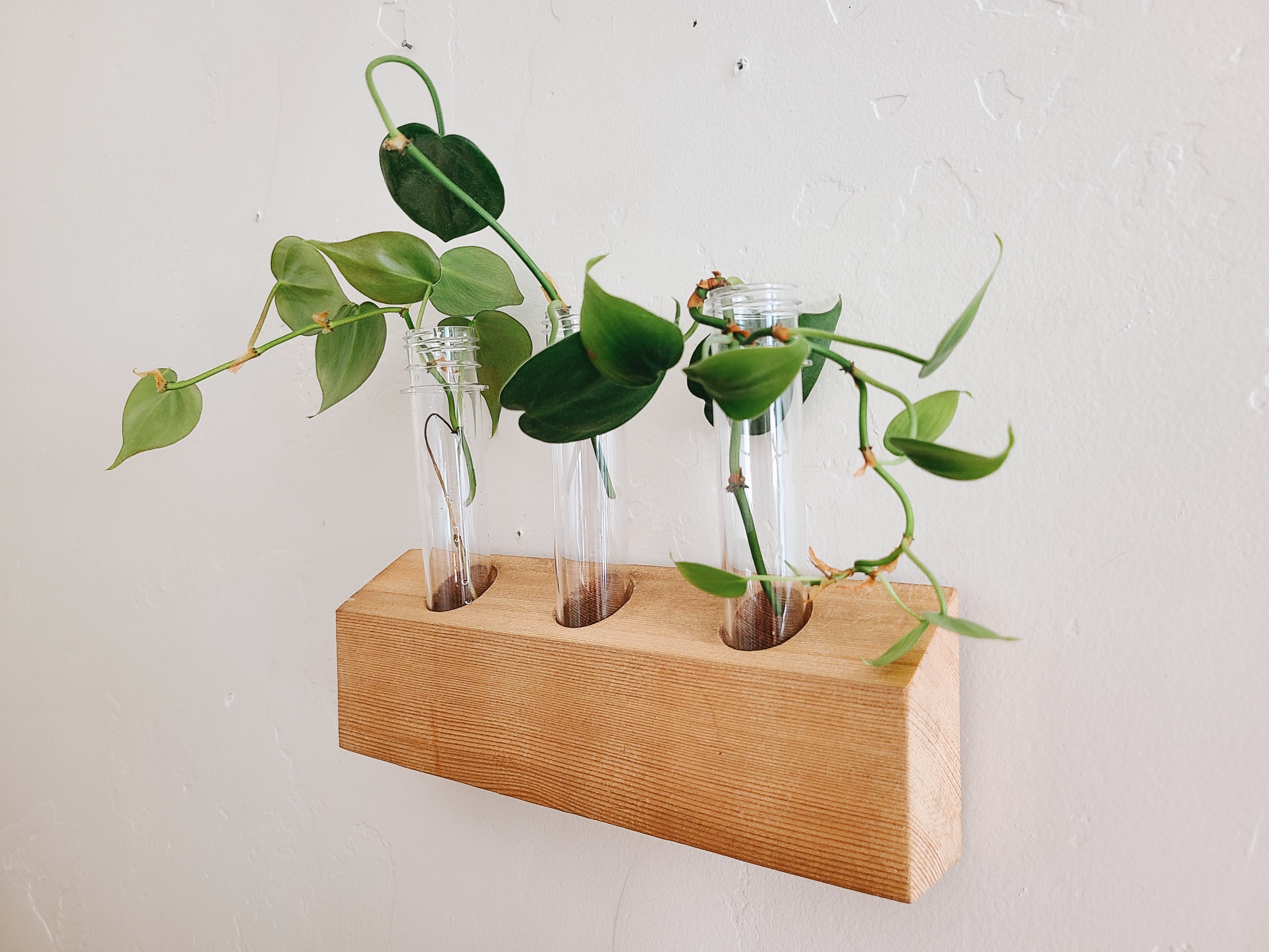 Propagation Station