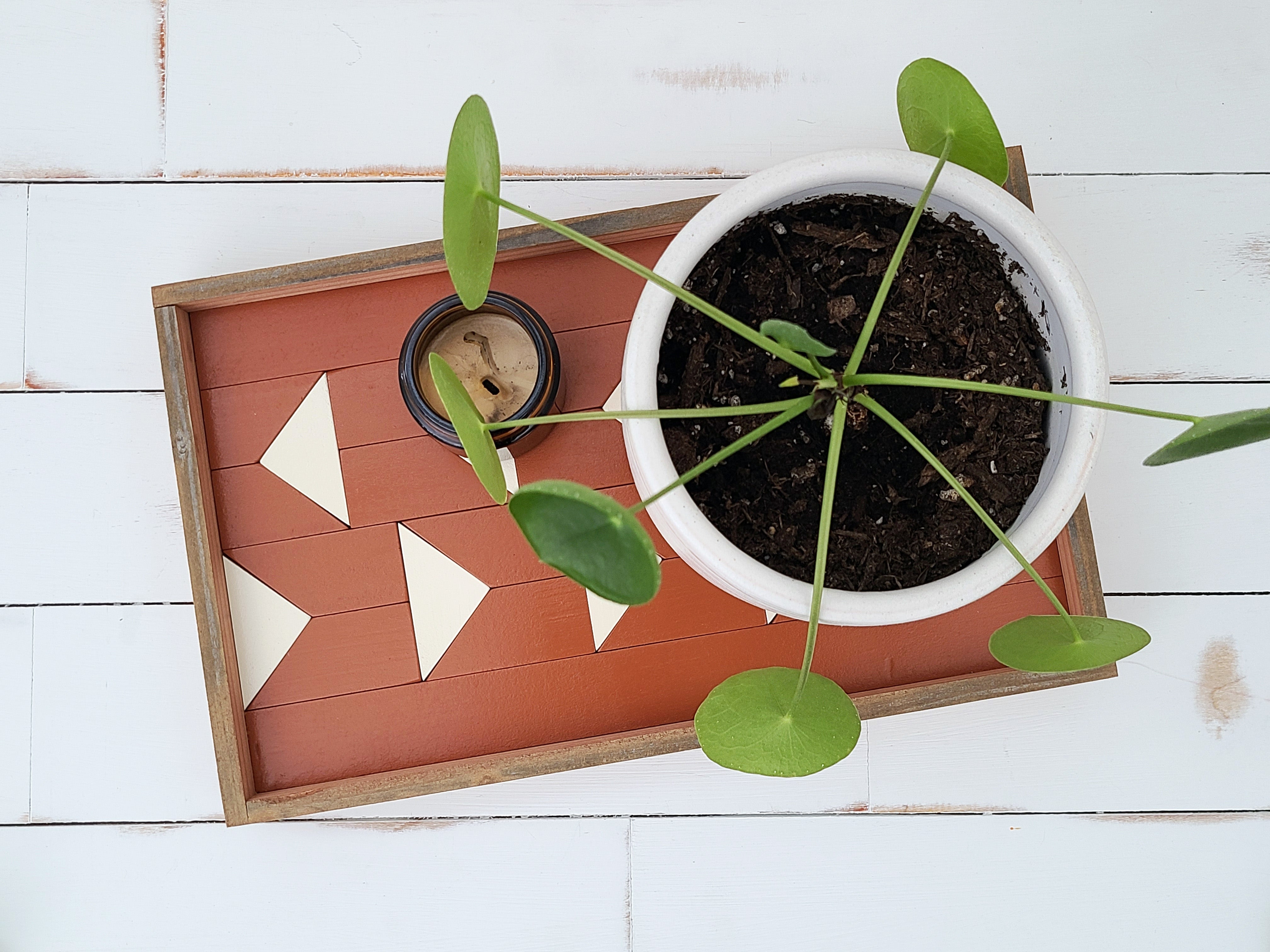 Mini Arrows in Terracotta Tray