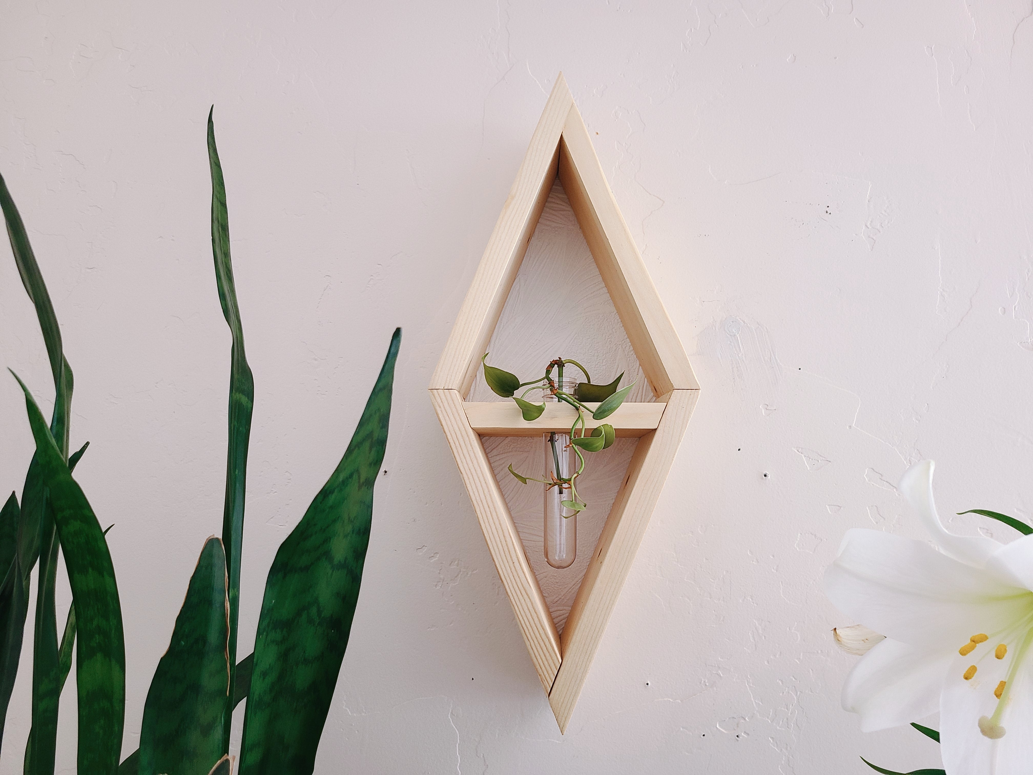 Propagation Station Diamond Shelf