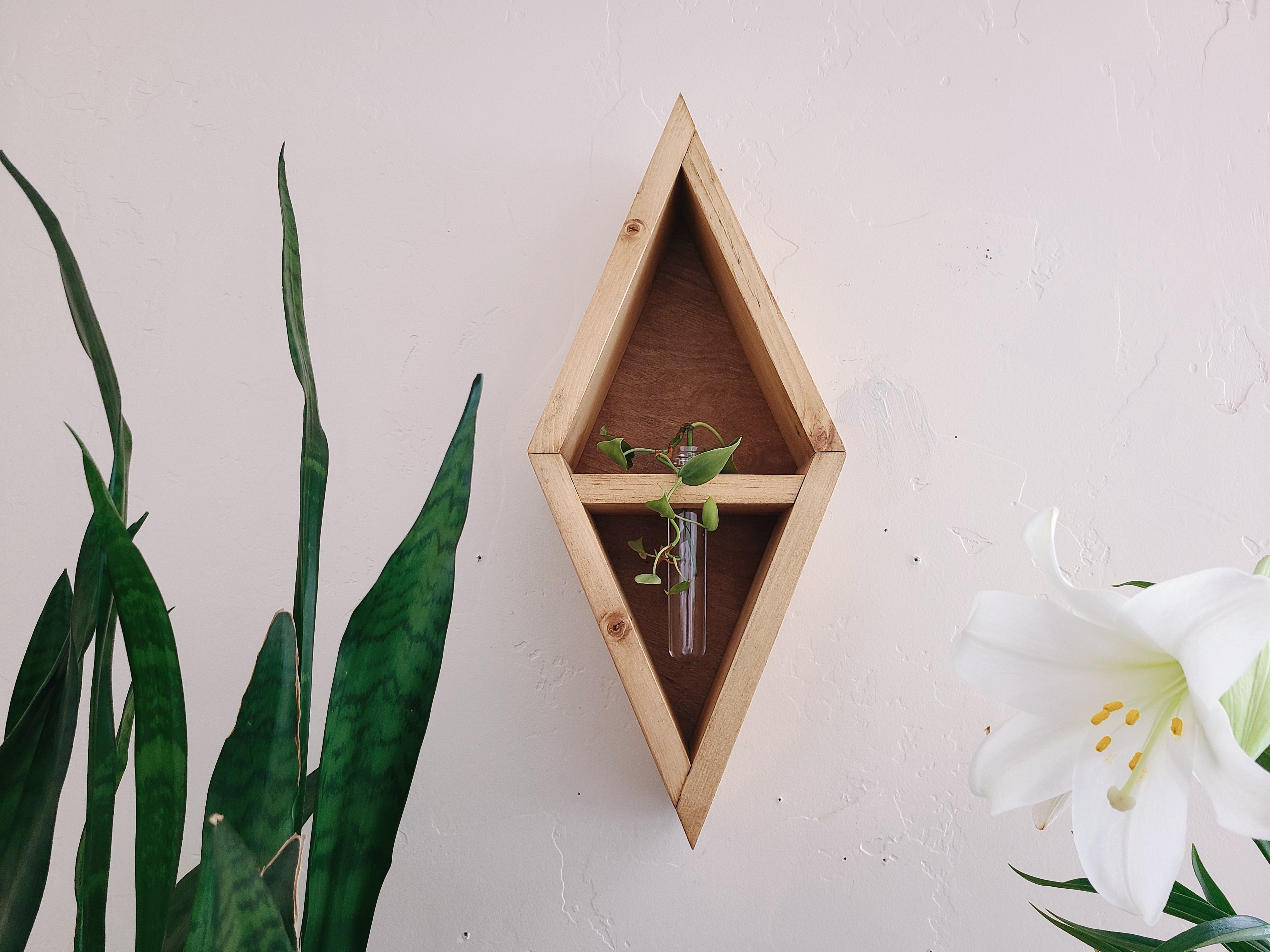 Propagation Station Diamond Shelf
