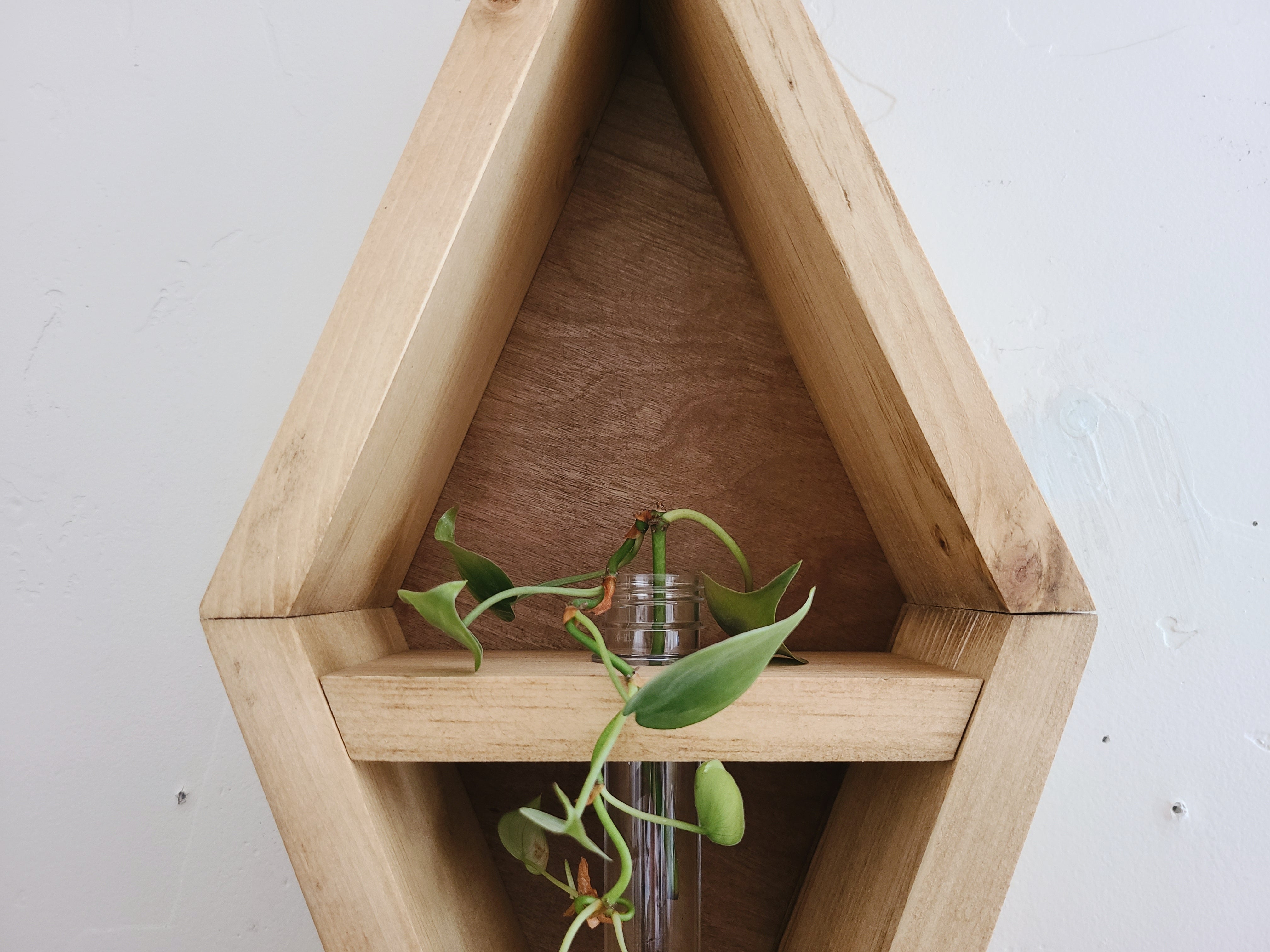Propagation Station Diamond Shelf