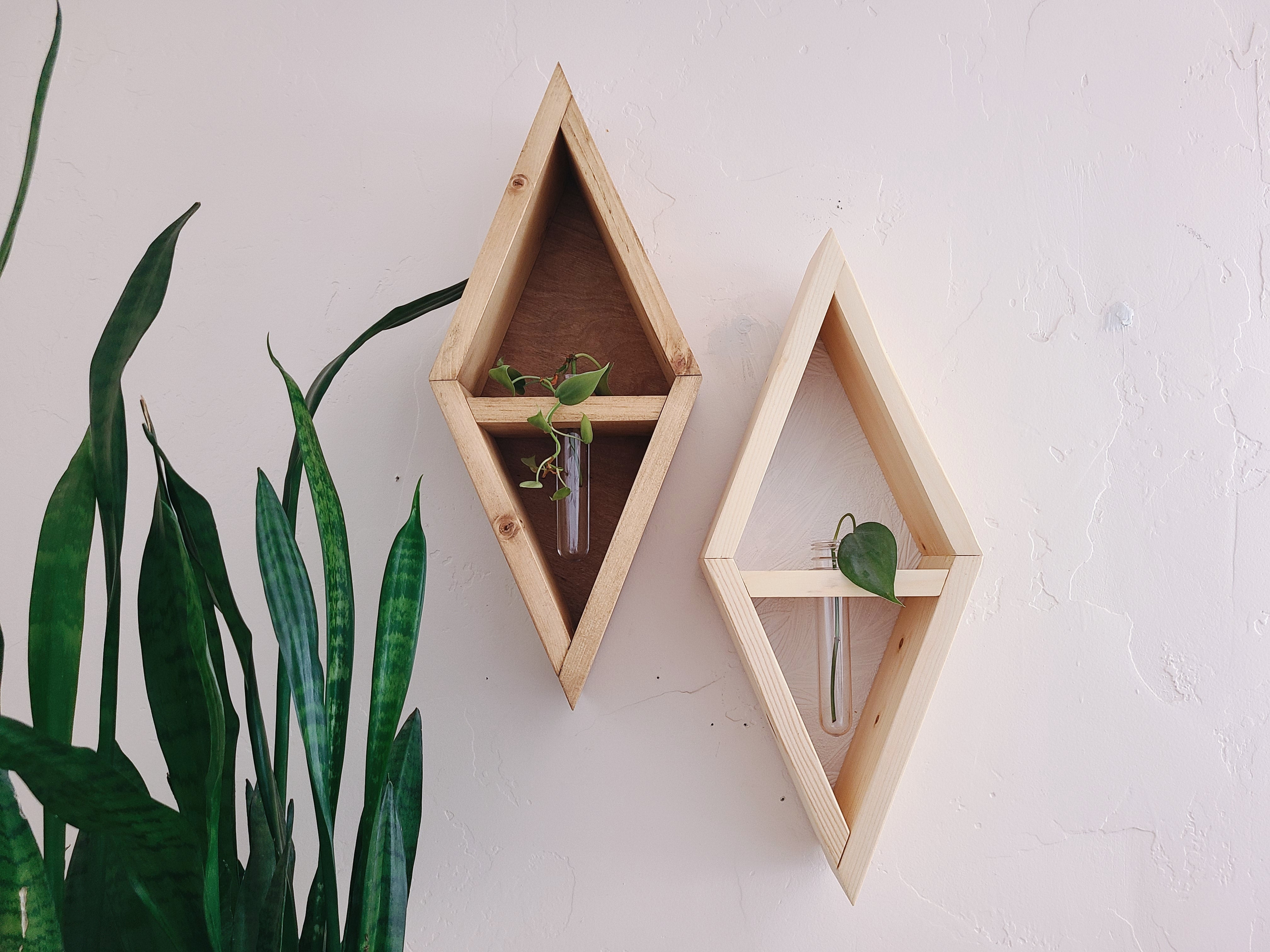 Propagation Station Diamond Shelf