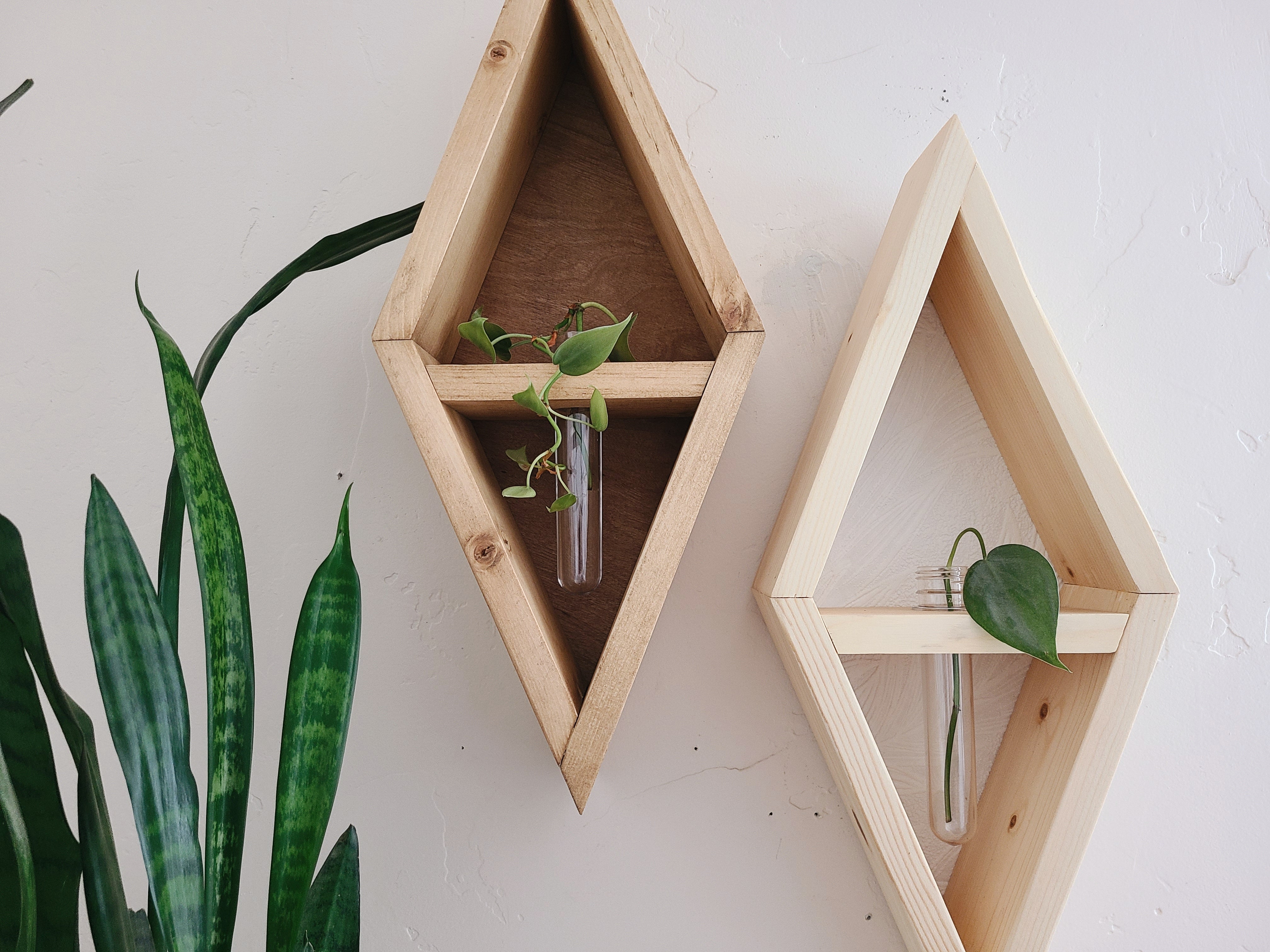 Propagation Station Diamond Shelf