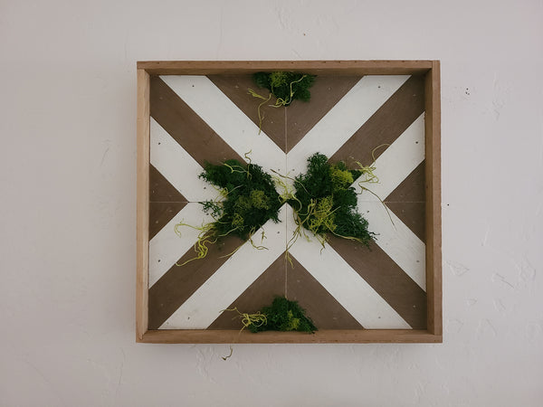 Preserved Moss Wall Art